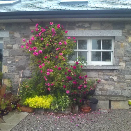 Stone House On A Hill * Dundalk